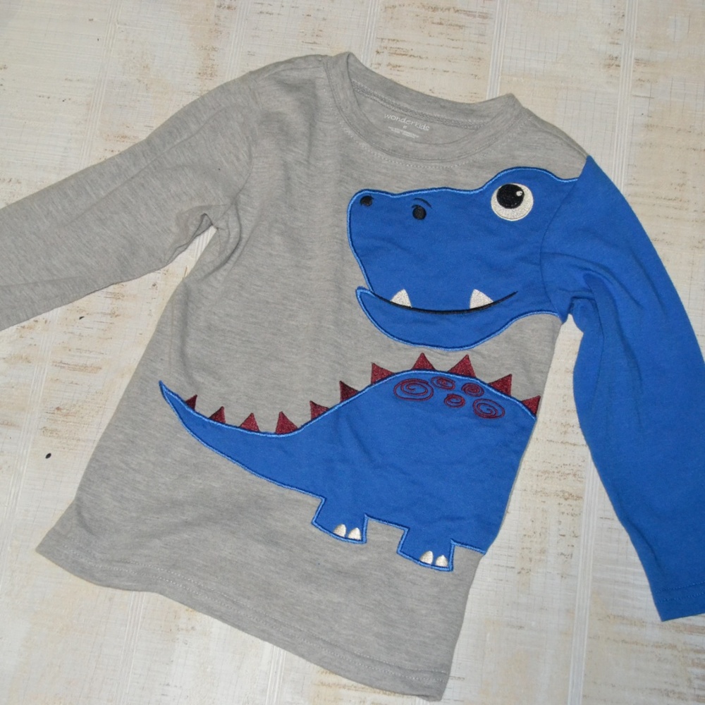 wonder kids long sleeve dinosaur tshirt